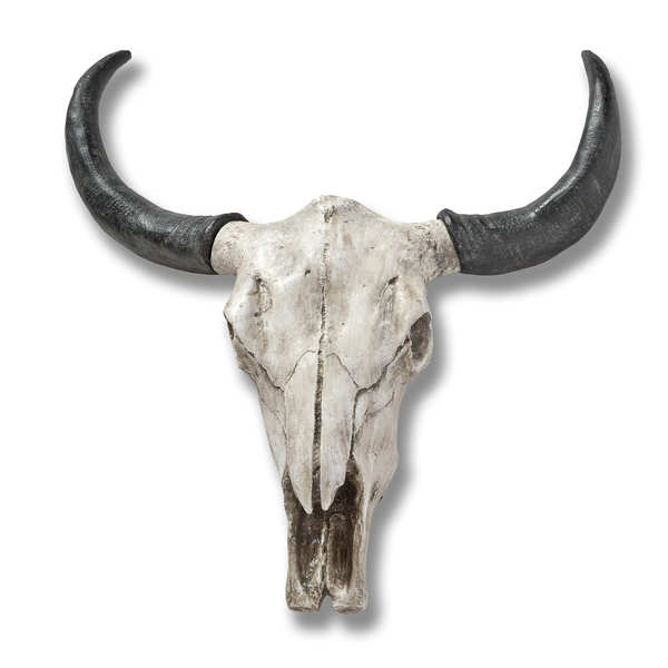 Large Ox Skull Wall Art From Hill Interiors
