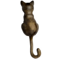  Peering  Cat