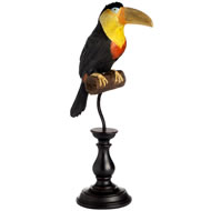  Toucan  On  Perch