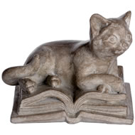  Cat  On  Open  Book
