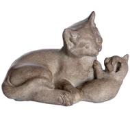  Cat  And  Kitten