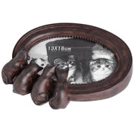  Cats  Peering  At  Photo  Frame