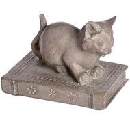  Cat  On  Book
