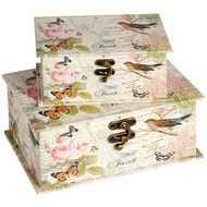  Set  Of  Two  Butterfly  Boxes