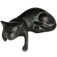 KITTEN LYING OVER SHELF
