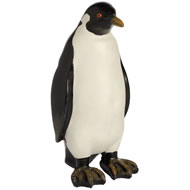  Emperor  Penguin