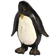 THOUGHTFUL PENGUIN   SPECIAL OFFER