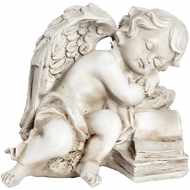  Peaceful  Cherub  On  Books