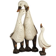 DUCK FAMILY