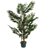 4FT PALM TREE SPECIAL OFFER