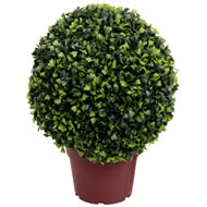 5FT PLAIN FICUS TREE
