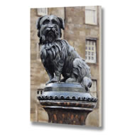  Greyfriars  Bobby  Canvas