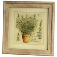  Framed  Print  Of  Lavender  'a'  &  'b'