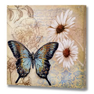  Butterfly  Canvas