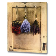  Dried  Flowers  Canvas