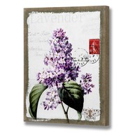  Lavender  Canvas
