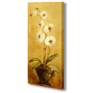 WHITE ORCHIDS ON CANVAS