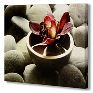 RED FLOWER ON PEBBLES ON CANVAS