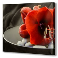 RED FLOWERS IN STONES CANVAS     SPECIAL OFFER