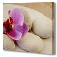 PINK FLOWER WITH PEBBLES    SPECIAL OFFER