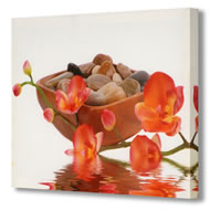 RED FLOWER WITH BOWL OF PEBBLES      SPECIAL OFFER