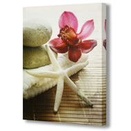 RED FLOWER WITH STARFISH    SPECIAL OFFER