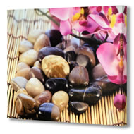 PEBBLES AND PINK ORCHID CANVAS   SPECIAL OFFER