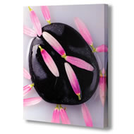 PINK PETALS ON PEBBLE CANVAS   SPECIAL OFFER