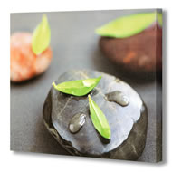 GREEN LEAVES ON PEBBLE CANVAS    SPECIAL OFFER