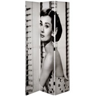 AUDREY HEPBURN CANVAS SCREEN
