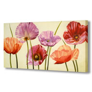 CALIFORNIA POPPIES CANVAS