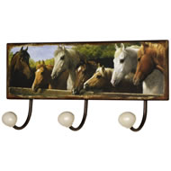 TACK ROOM HOOKS