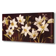 WHITE DAFFODIL CANVAS