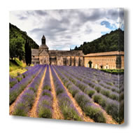THE LAVENDER FIELDS CANVAS