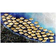 Shoal  Of  Fish  Wall  Art