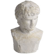 MANS HEAD ICON