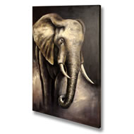 African  Elephant  Canvas