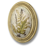  Fern  In  Oval  Frame  