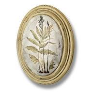  Fern  In  Oval  Frame  