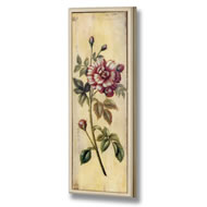  Panal  Rose  With  Frame  