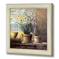  Plants  By  Window  