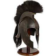  Troy  Helmet  With  Stand