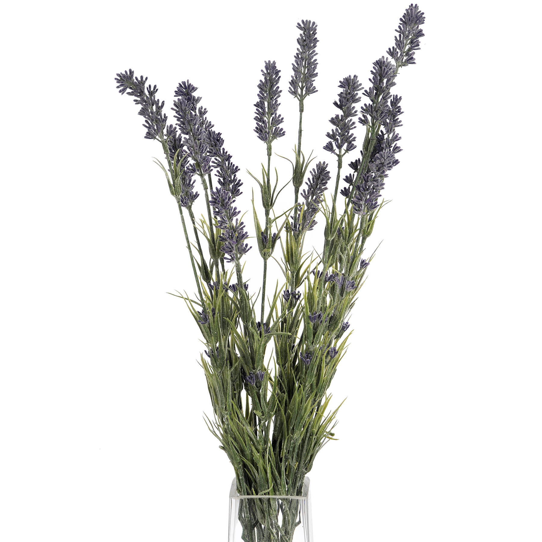 Large Lavender Bush - Image 5