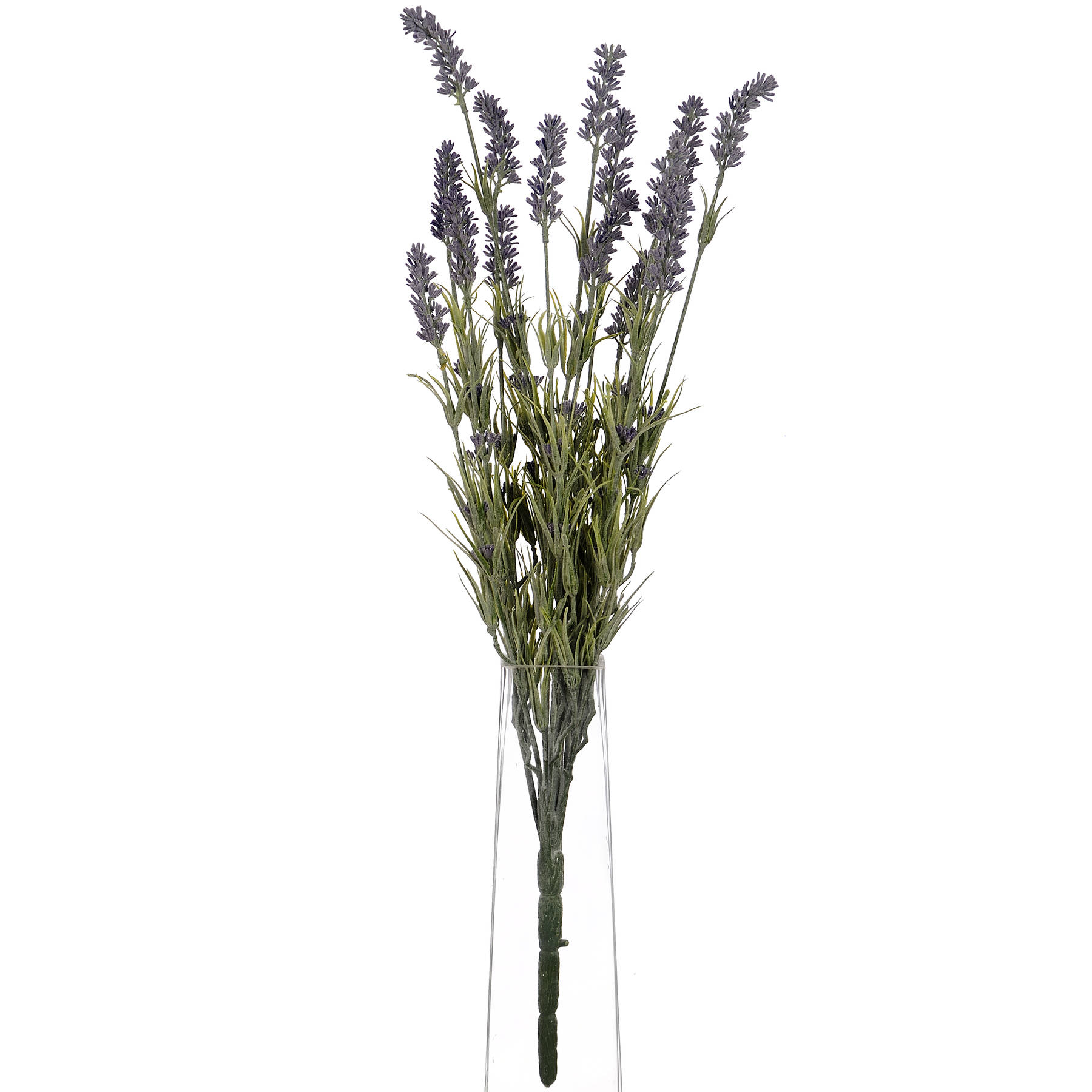 Large Lavender Bush - Image 6