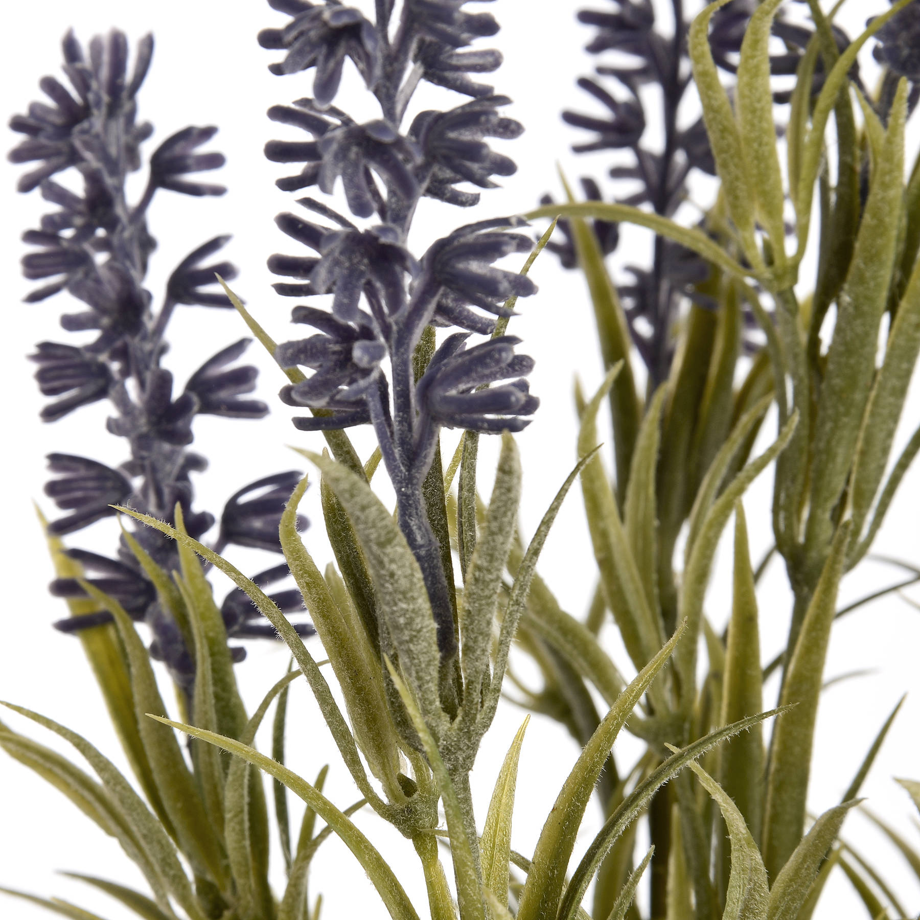 Small Lavender Spray - Image 5