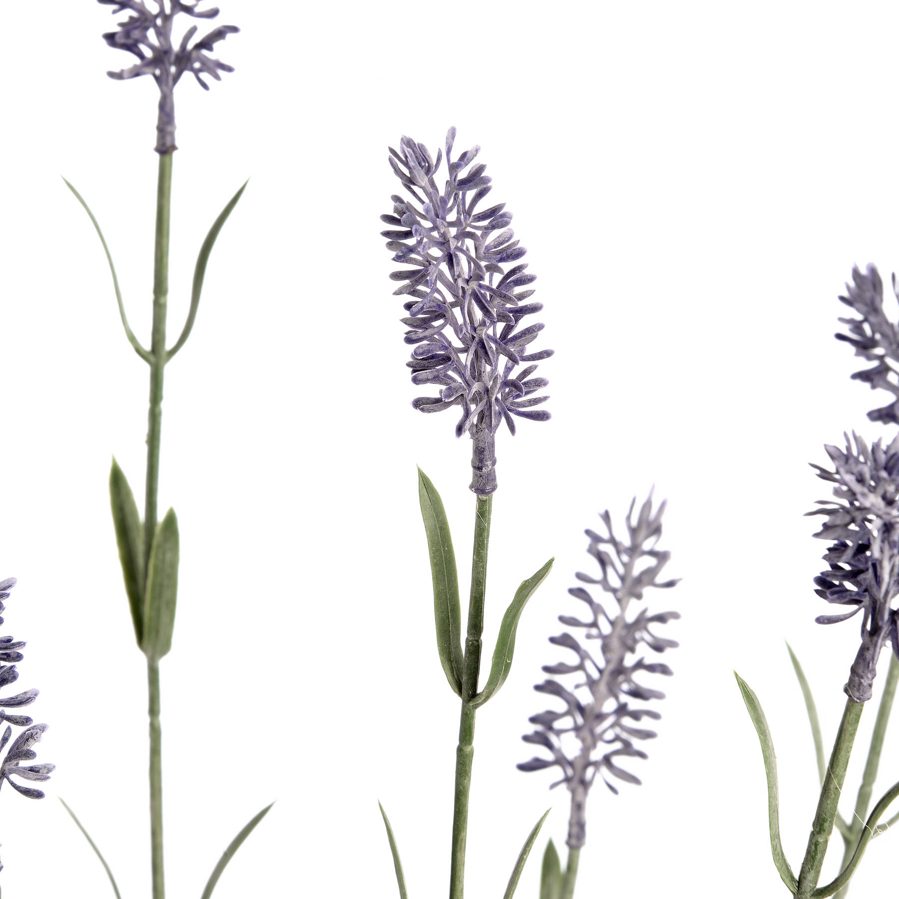 Large Lavender Spray - Image 5