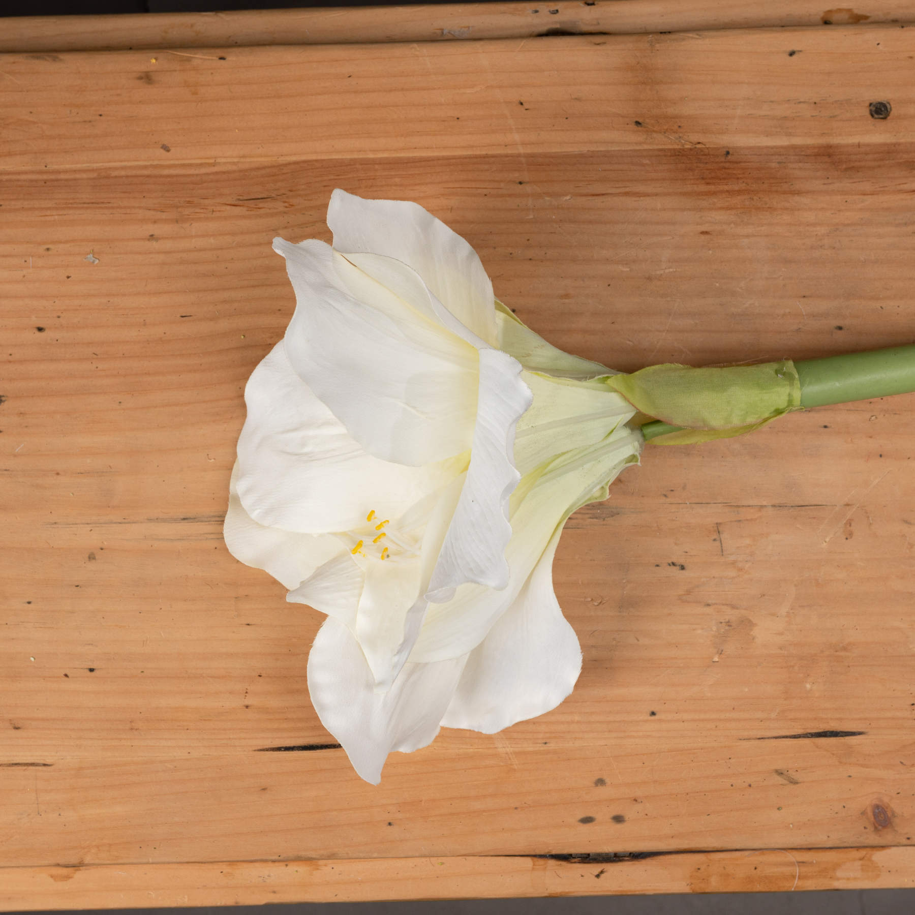 Classic White Amaryllis Flower - Image 2