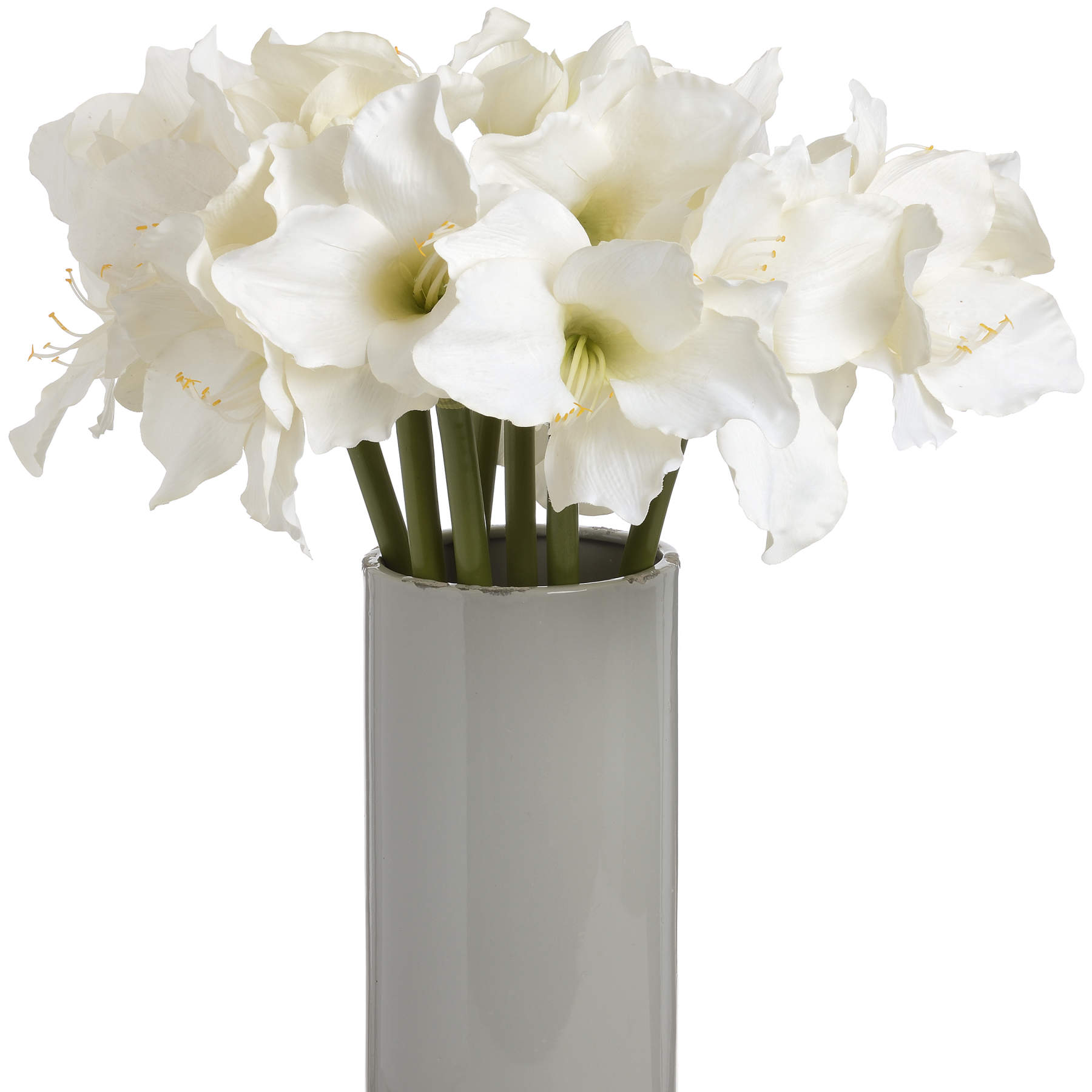 Classic White Amaryllis Flower - Image 3
