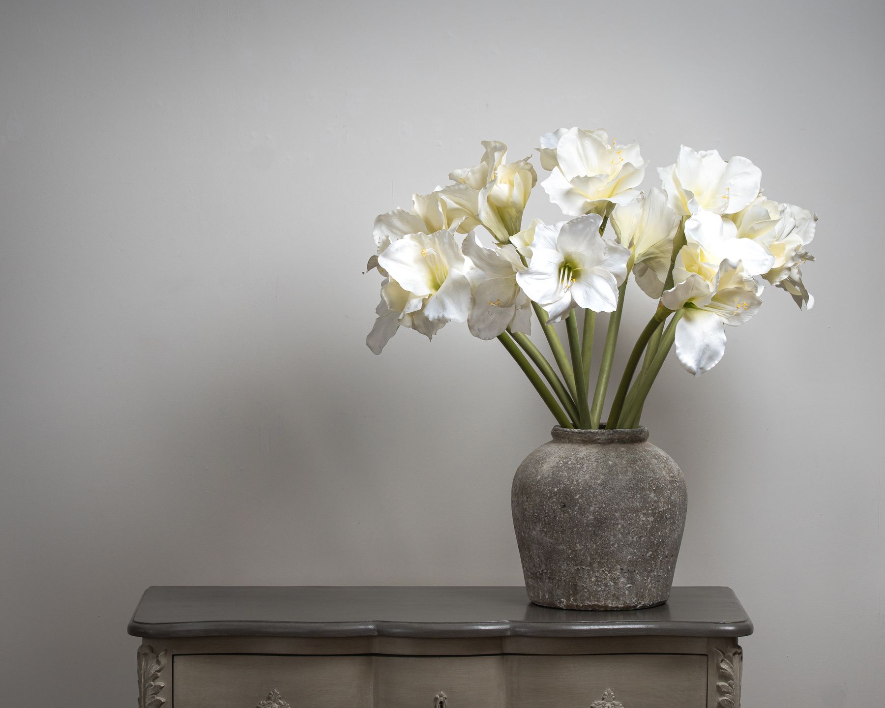 Classic White Amaryllis Flower - Image 6