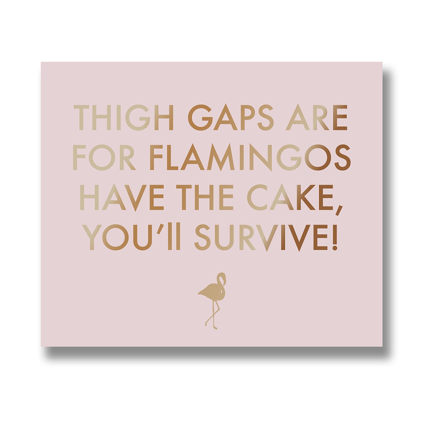 Thigh Gaps Are For Flamingos Metallic Detail Plaque - Image 1